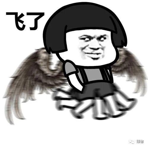 有毒的蝴蝶是啥，有毒的蝴蝶是啥品种（为什么冬天看不到蝴蝶）