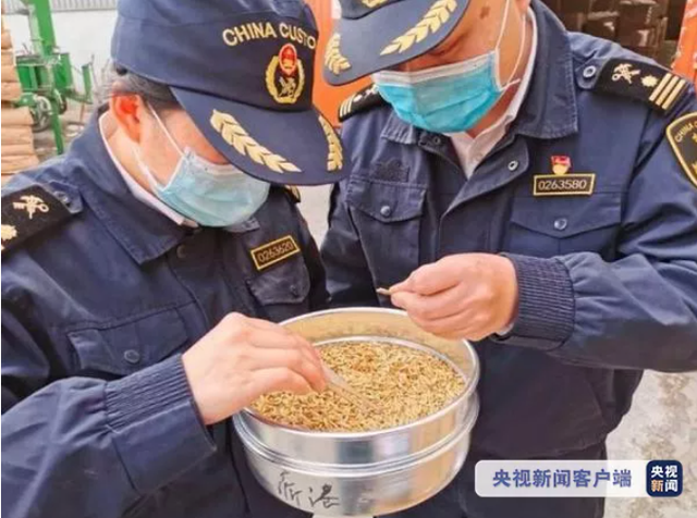 早安丨31省份GDP出炉 四川排第六
