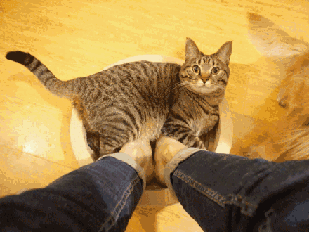 泡脚多少温度合适，泡脚的水温多少合适（泡脚，一定要记住几个关键数字）