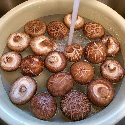 鲍鱼的家常做法清蒸，好吃下饭的素鲍鱼几分钟就学到手（粉丝鲍鱼的家常做法清蒸）