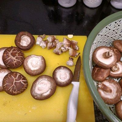 鲍鱼的家常做法清蒸，好吃下饭的素鲍鱼几分钟就学到手（粉丝鲍鱼的家常做法清蒸）