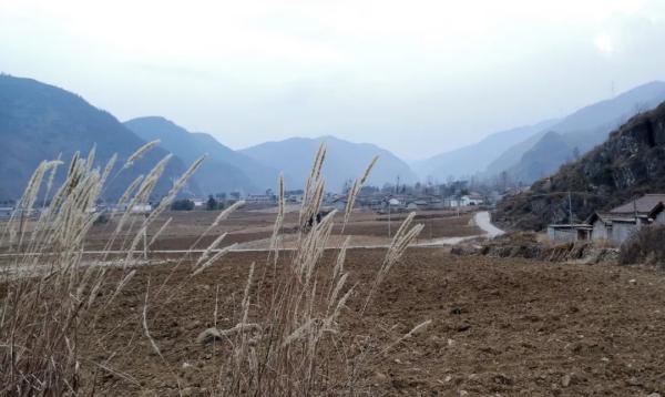 梦见孕妇大肚子是什么意思，孕妇梦见孕妇大肚子是什么意思（11年前那位感动中国的“春运母亲”）