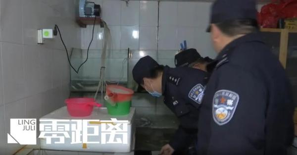 被河豚咬了有毒吗，被河豚咬了有毒吗图片（除了赔偿医药费还要被判刑）