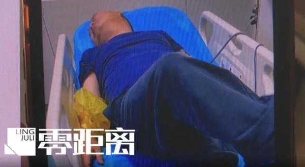 被河豚咬了有毒吗，被河豚咬了有毒吗图片（除了赔偿医药费还要被判刑）