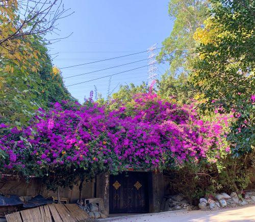 2021年立春是几点打春，2021年立春是几点几分打春（今年立春什么时候几点结束）