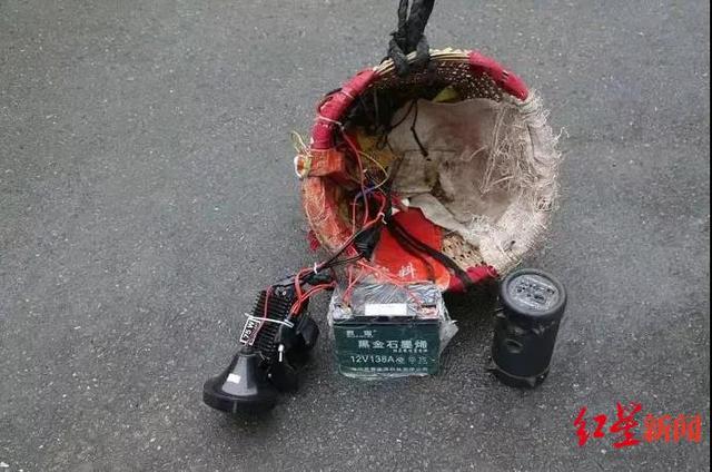 怎样抓野鸡，抓野鸡专用声音mp3下载（夜间诱捕野鸡被抓现行）