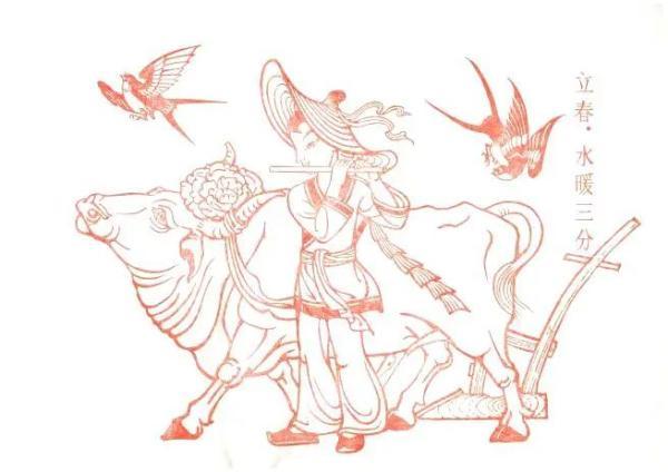 代表立春的花是什么花，立秋的代表花是什么花（今日立春，四时之始）