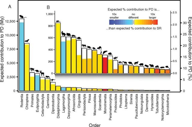 什么是edn，什么是EDI标准?使用EDI的优点有哪些（让我们认识一下拥有长长尾巴的大家族——白腹鼠属）