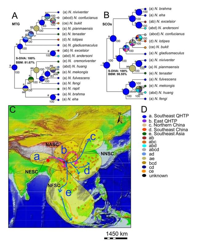 什么是edn，什么是EDI标准?使用EDI的优点有哪些（让我们认识一下拥有长长尾巴的大家族——白腹鼠属）