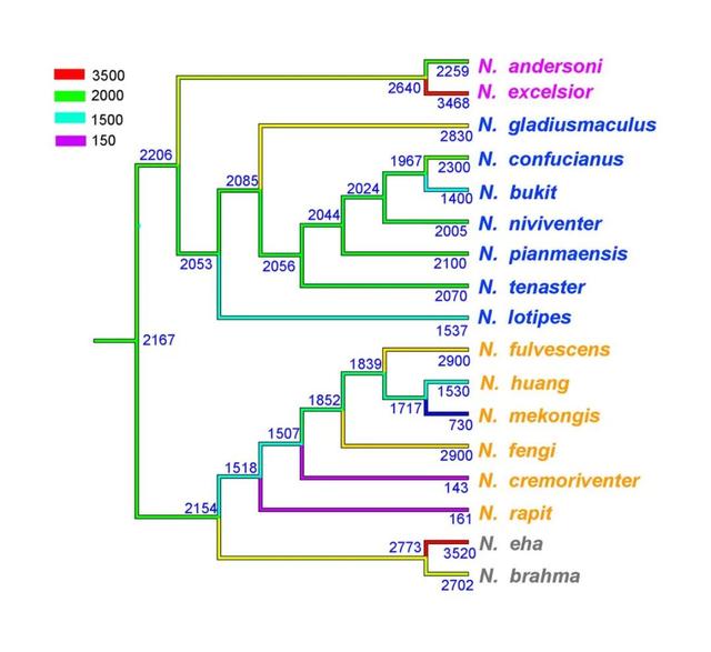 什么是edn，什么是EDI标准?使用EDI的优点有哪些（让我们认识一下拥有长长尾巴的大家族——白腹鼠属）