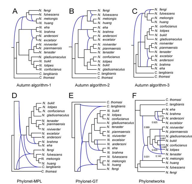 什么是edn，什么是EDI标准?使用EDI的优点有哪些（让我们认识一下拥有长长尾巴的大家族——白腹鼠属）