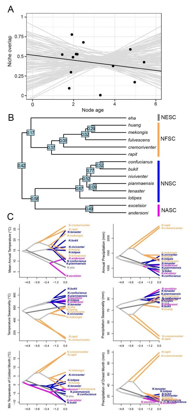 什么是edn，什么是EDI标准?使用EDI的优点有哪些（让我们认识一下拥有长长尾巴的大家族——白腹鼠属）