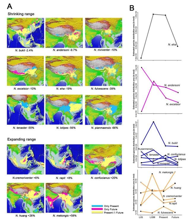 什么是edn，什么是EDI标准?使用EDI的优点有哪些（让我们认识一下拥有长长尾巴的大家族——白腹鼠属）