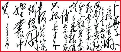 勇往直前造句，勇往直前造句子一年级（痴情最是梅花落）