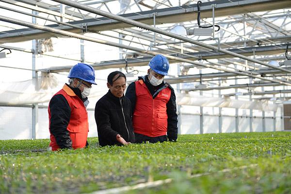 和县属于哪个市，安徽和县哪个市的（马鞍山和县：丰收菜园子）
