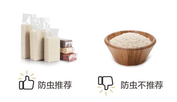 米虫会咬人吗(家中米虫泛滥怎么解决)