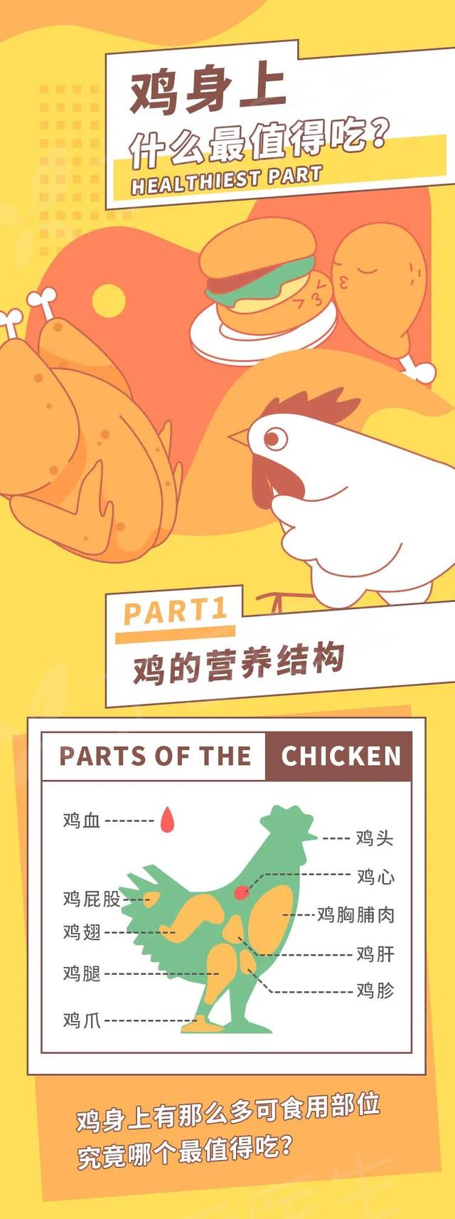 鸡胗是鸡的哪个部位，鸡胗是鸡的哪个部位（鸡身上有那么多部位）