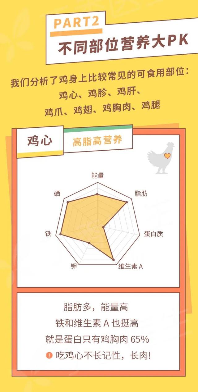 鸡胗是鸡的哪个部位，鸡胗是鸡的哪个部位（鸡身上有那么多部位）