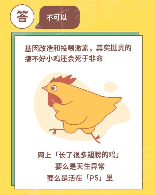 鸡胗是鸡的哪个部位，鸡胗是鸡的哪个部位（鸡身上有那么多部位）