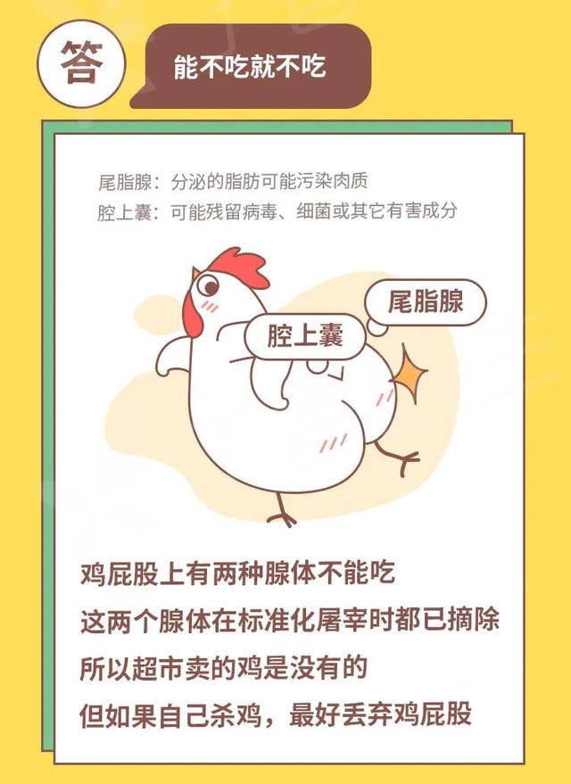 鸡胗是鸡的哪个部位，鸡胗是鸡的哪个部位（鸡身上有那么多部位）