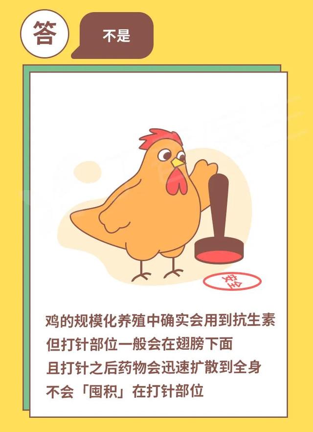 鸡胗是鸡的哪个部位，鸡胗是鸡的哪个部位（鸡身上有那么多部位）