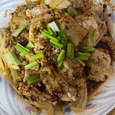 口水鸡是哪个地方的菜，口水鸡（口水鸡一天不吃就馋）