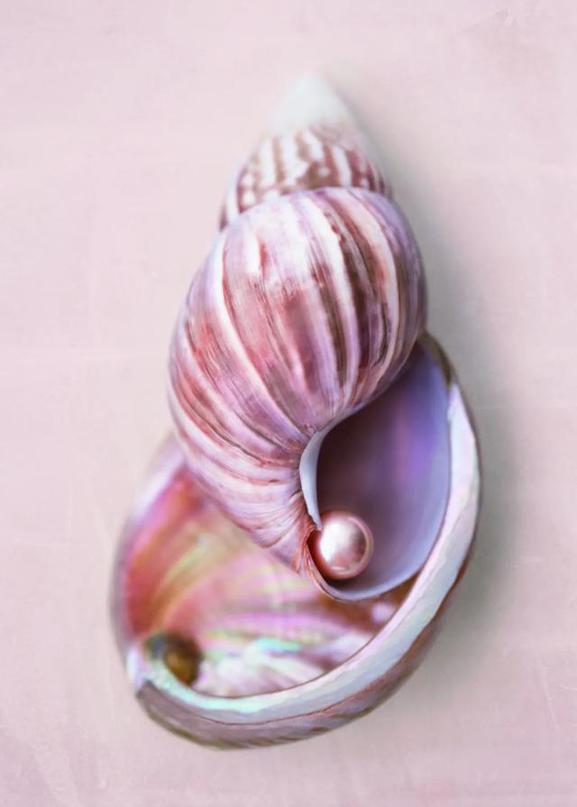 2月14情人节送什么，2月14号情人节送什么礼物（情人节最佳送礼列表借你抄）