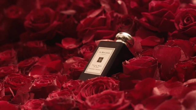 2月14情人节送什么，2月14号情人节送什么礼物（情人节最佳送礼列表借你抄）