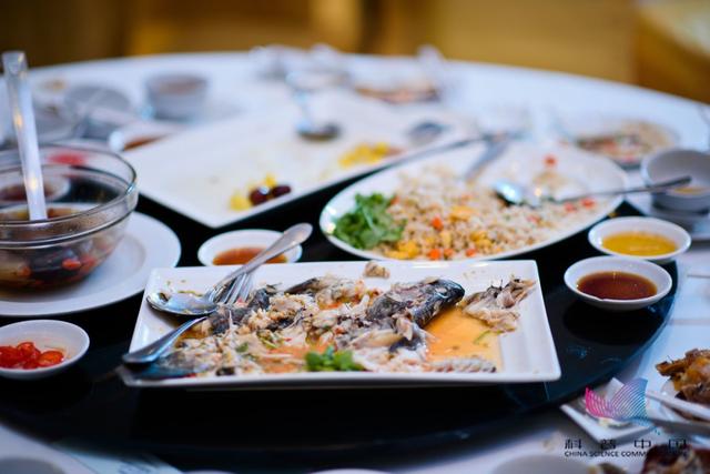 剩饭剩菜的危害，剩菜剩饭怎么处理（是时候告诉你真相了…）