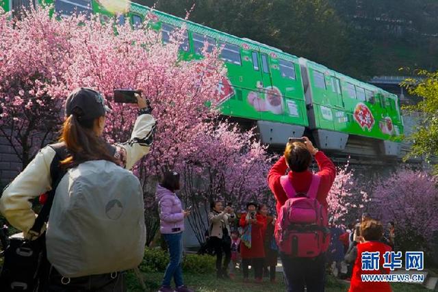 盎然春色的意思，春意盎然是啥意思（山城花团锦簇春色盎然）