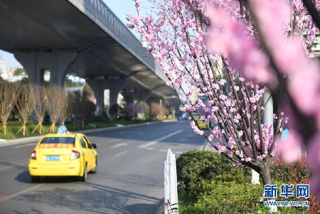 盎然春色的意思，春意盎然是啥意思（山城花团锦簇春色盎然）