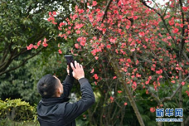 盎然春色的意思，春意盎然是啥意思（山城花团锦簇春色盎然）