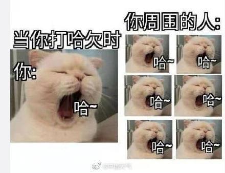 打哈欠为什么会传染，打哈欠流眼泪是怎么回事（早起的你跟着这张图一起打哈欠吧）