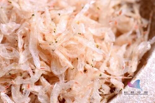 虾线是什么，虾线如何快速去除（虾线真的很脏吗）