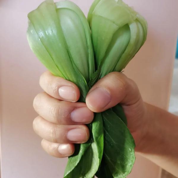 一周均衡膳食搭配，每天摄入这五大类食物