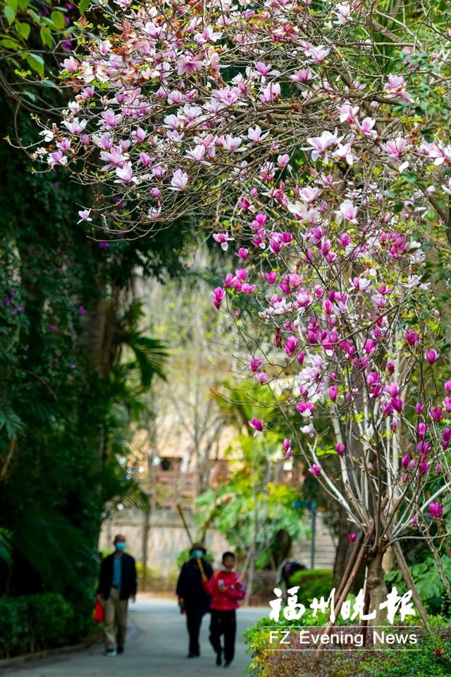 福州动物园好玩吗，福州动物园值得去吗（福州动物园“报春使者”忙）
