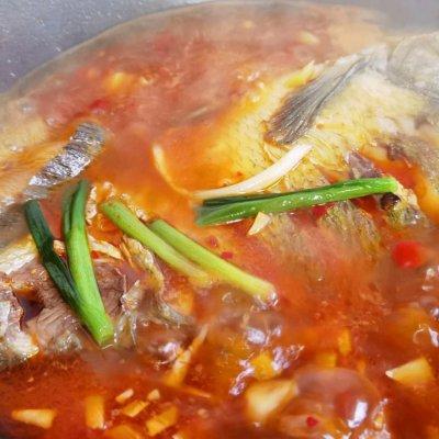 红烧鱼的家常做法大全，红烧鱼家常简单做法（五步做成色香味俱全的红烧鱼你这么做）