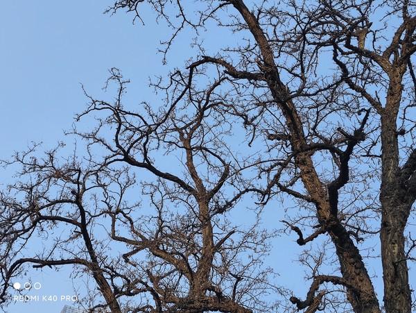 青橙手机后盖怎么拆，青橙手机后盖怎么拆下来（“全系升杯”是一种什么样的体验）