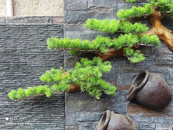 青橙手机后盖怎么拆，青橙手机后盖怎么拆下来（“全系升杯”是一种什么样的体验）