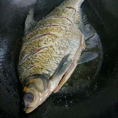 红烧武昌鱼的做法，红烧武昌鱼的做法 最正宗的做法（大厨教我的红烧鳊鱼的做法）