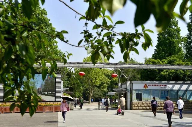 上海的中山公园在哪里，上海中山公园在什么地方（中山公园的百年故事......）