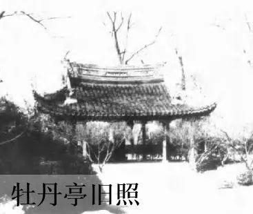 上海的中山公园在哪里，上海中山公园在什么地方（中山公园的百年故事......）