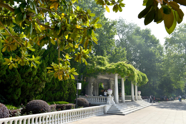 上海的中山公园在哪里，上海中山公园在什么地方（中山公园的百年故事......）
