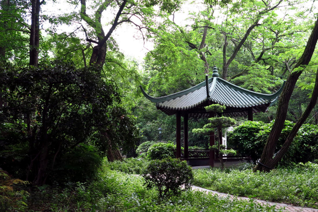 上海的中山公园在哪里，上海中山公园在什么地方（中山公园的百年故事......）