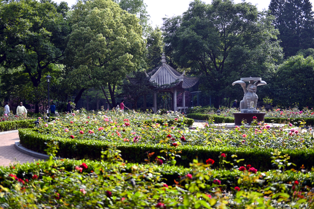 上海的中山公园在哪里，上海中山公园在什么地方（中山公园的百年故事......）