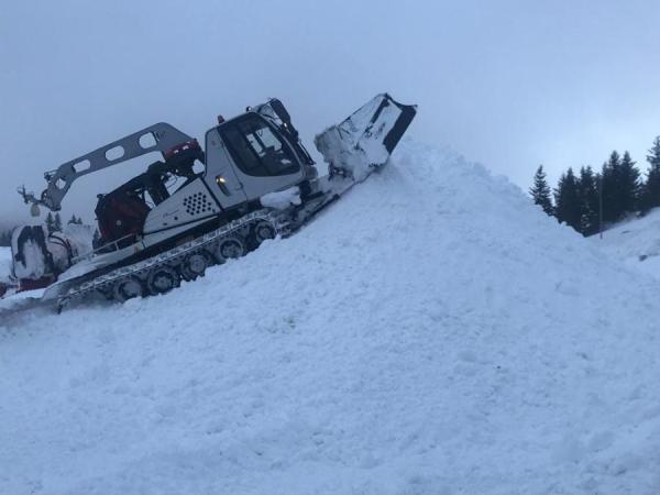 雪雕是什么动物，雪雕是什么动物（“大熊猫”来到滑雪场“它们太可爱”）