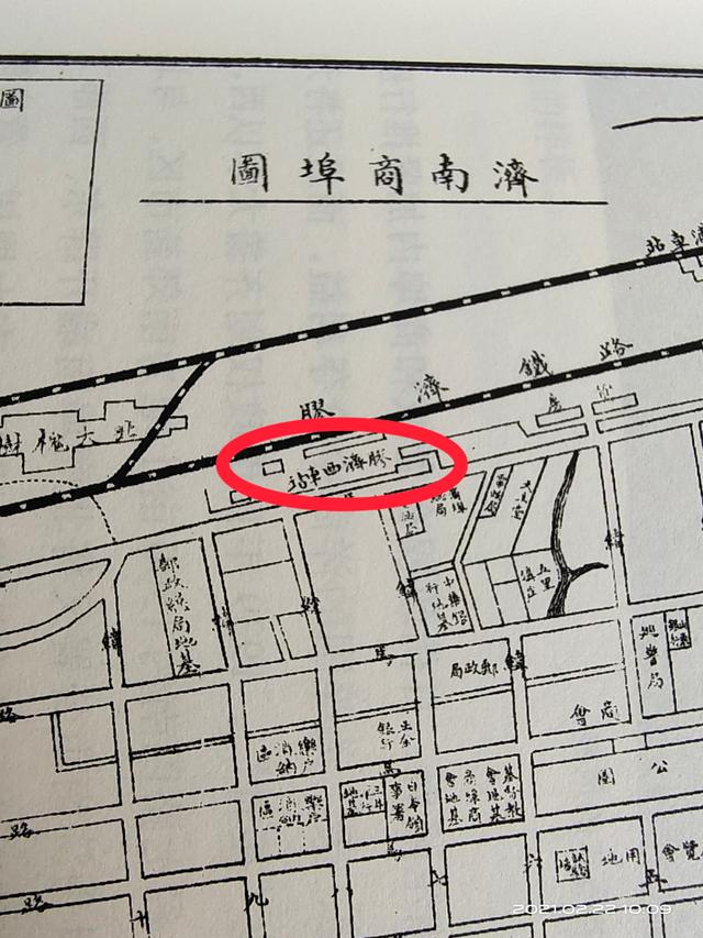 1904年属什么生肖，1904年属什么生肖属相（厦门商埠百年“经纬”长）