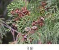 亡羊补牢中的牢的意思是什么，亡羊补牢的牢是什么意思（统编语文二年级下册17个重点知识梳理+释疑）