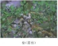 亡羊补牢中的牢的意思是什么，亡羊补牢的牢是什么意思（统编语文二年级下册17个重点知识梳理+释疑）