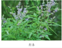 亡羊补牢中的牢的意思是什么，亡羊补牢的牢是什么意思（统编语文二年级下册17个重点知识梳理+释疑）